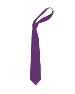 BEACON HIGH SCHOOL TIE (8134)