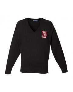 ARTS AND MEDIA SCHOOL ISLINGTON 50/50 V-NECK PULLOVER (8642)