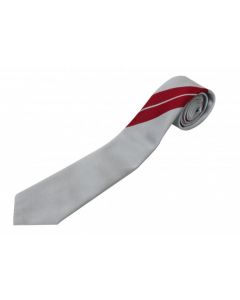 ARTS AND MEDIA SCHOOL ISLINGTON LOWER SCHOOL TIE (8643L)