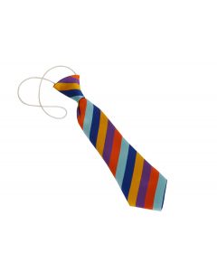 NEW NORTH ACADEMY ELASTICATED TIE (8738)