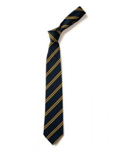 ST PETER & ST PAUL SCHOOL TIE (9188)