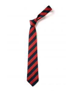 ST MARY MAGDELENE SCHOOL TIE (8331)