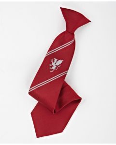 COLAi School Tie - Years 7-9 (8172)